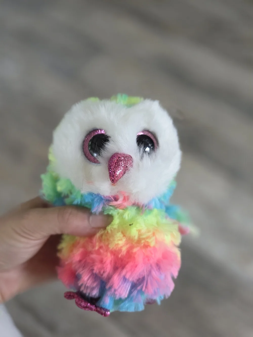 Beanie BOOS lot Bundle Ty Plush Cinnamon Zuri Owen